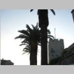 CIMG3925.JPG