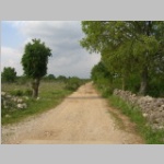 CIMG5384.JPG
