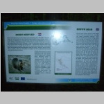 CIMG5487.JPG